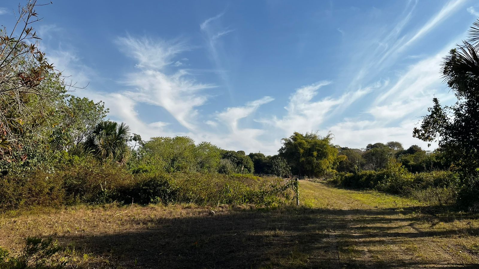 Rancho 20.000 m² – Margem do Rio Sucuriú – Região do Balneário Municipal