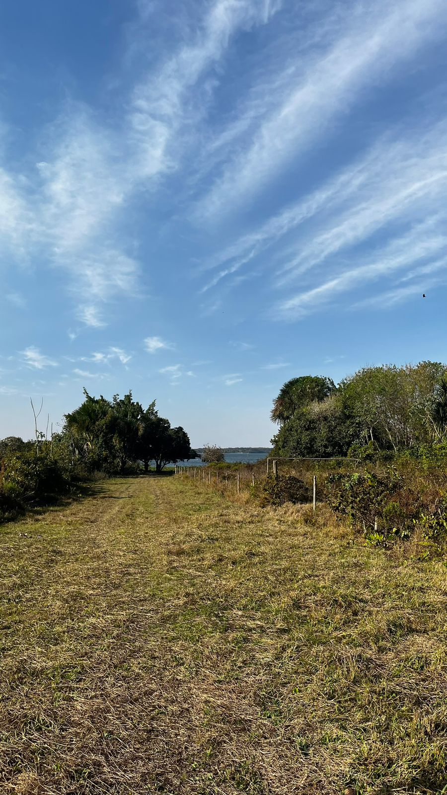 Rancho 20.000 m² – Margem do Rio Sucuriú – Região do Balneário Municipal